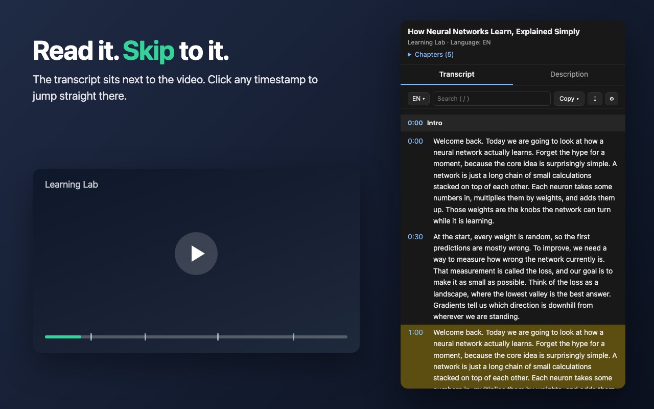 Lineskip's Side Panel beside a video, showing the transcript split into chapters with clickable timestamps and the current section highlighted